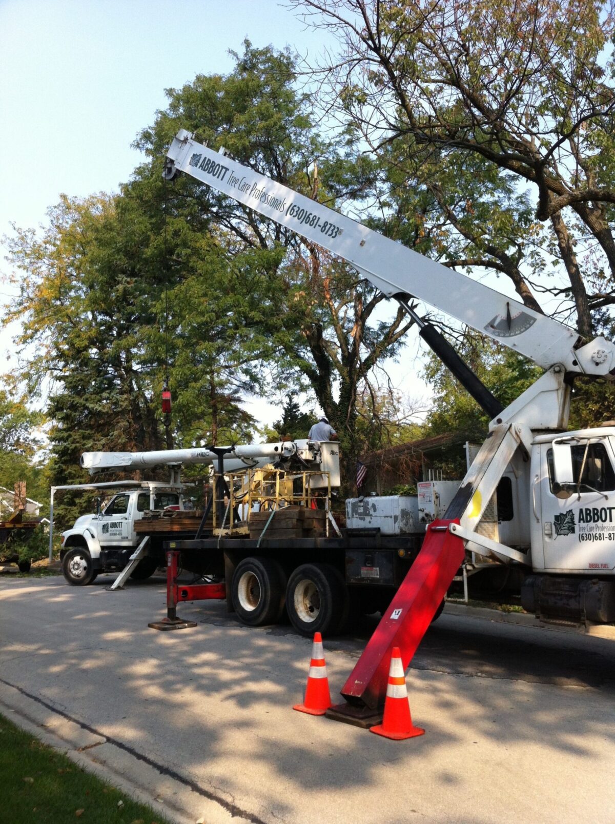 Abbott Tree Care Professionals Truck