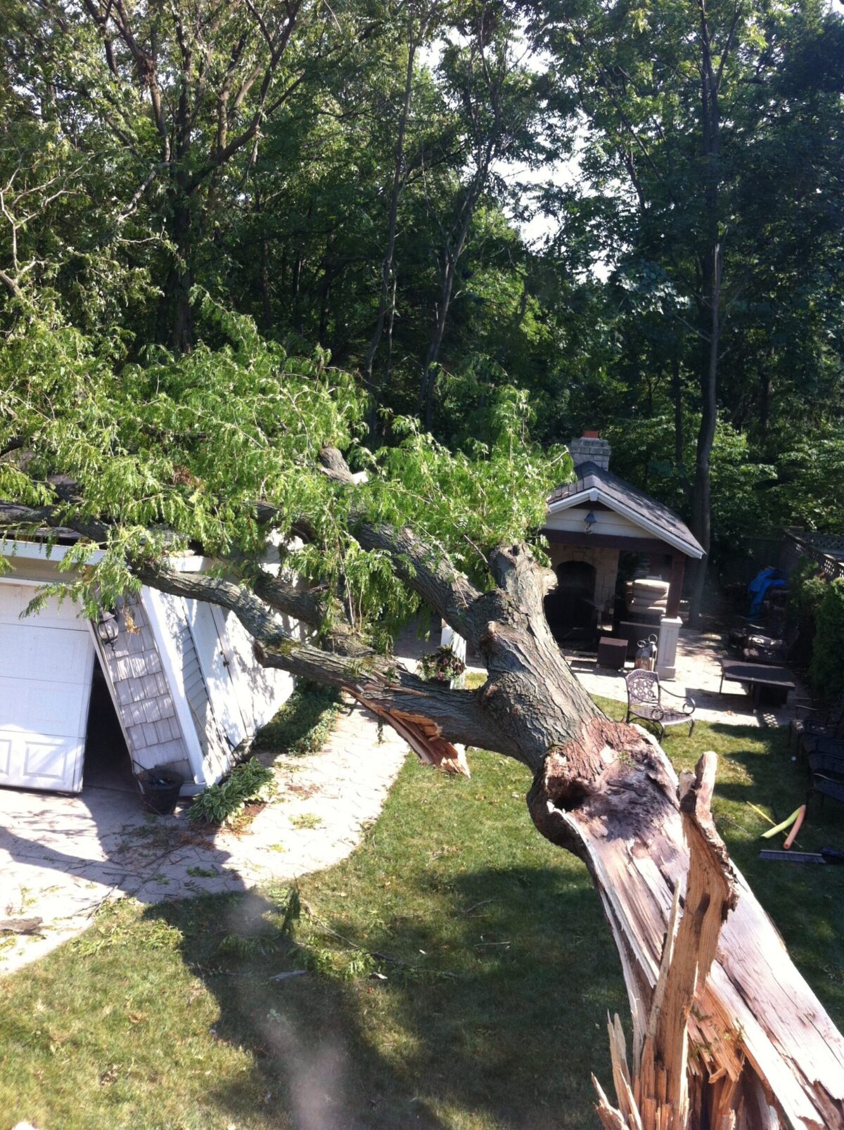 Large Fallen Tree Laying On Damaged Garage