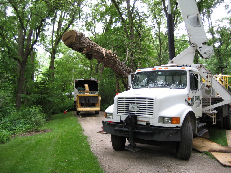 Abbott Tree Care Professionals Truck in Wooded Area