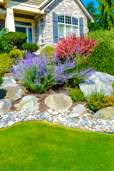 Flowers and stones in front of the house, front yard. Landscape design.