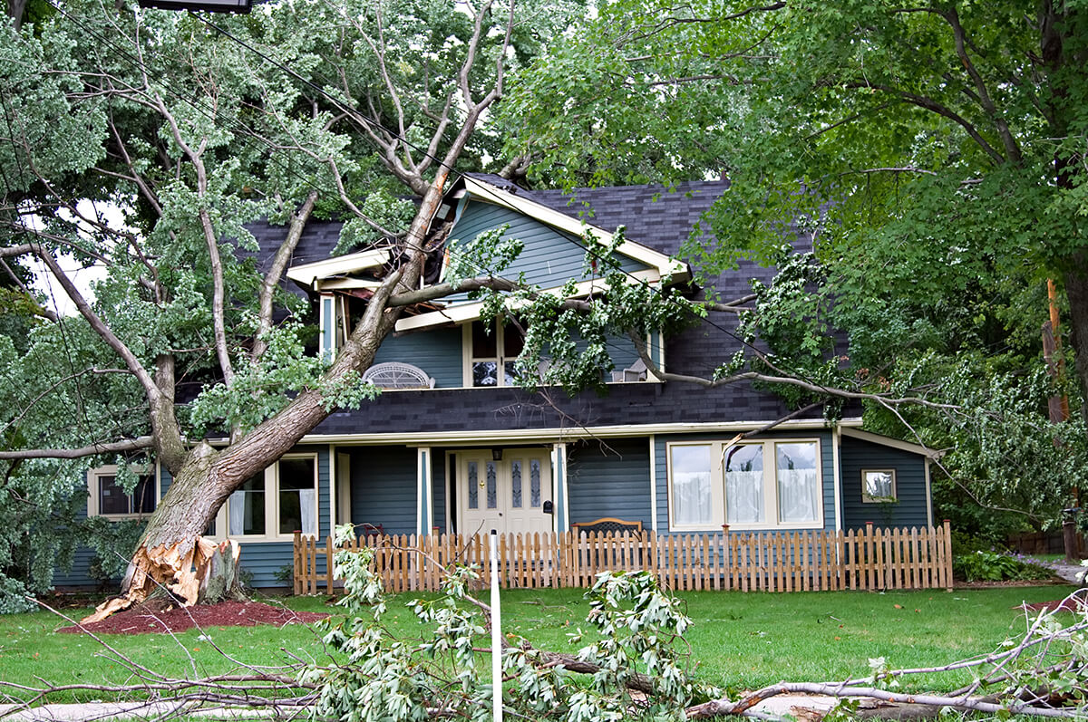 Tree fallen on a house after a storm