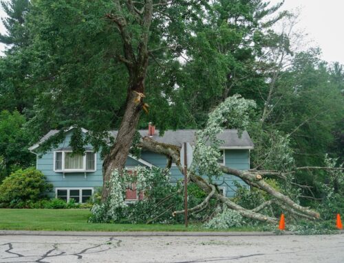 What to Do After a Storm