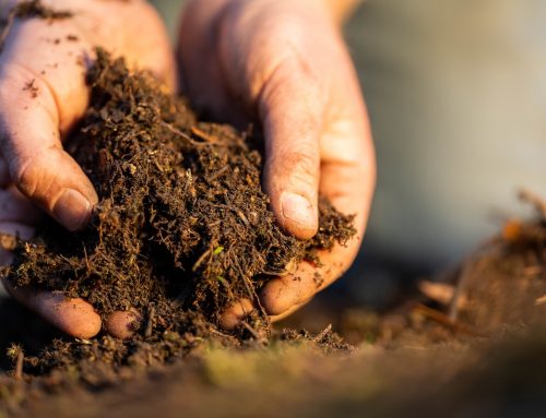 Why Soil Health Matters