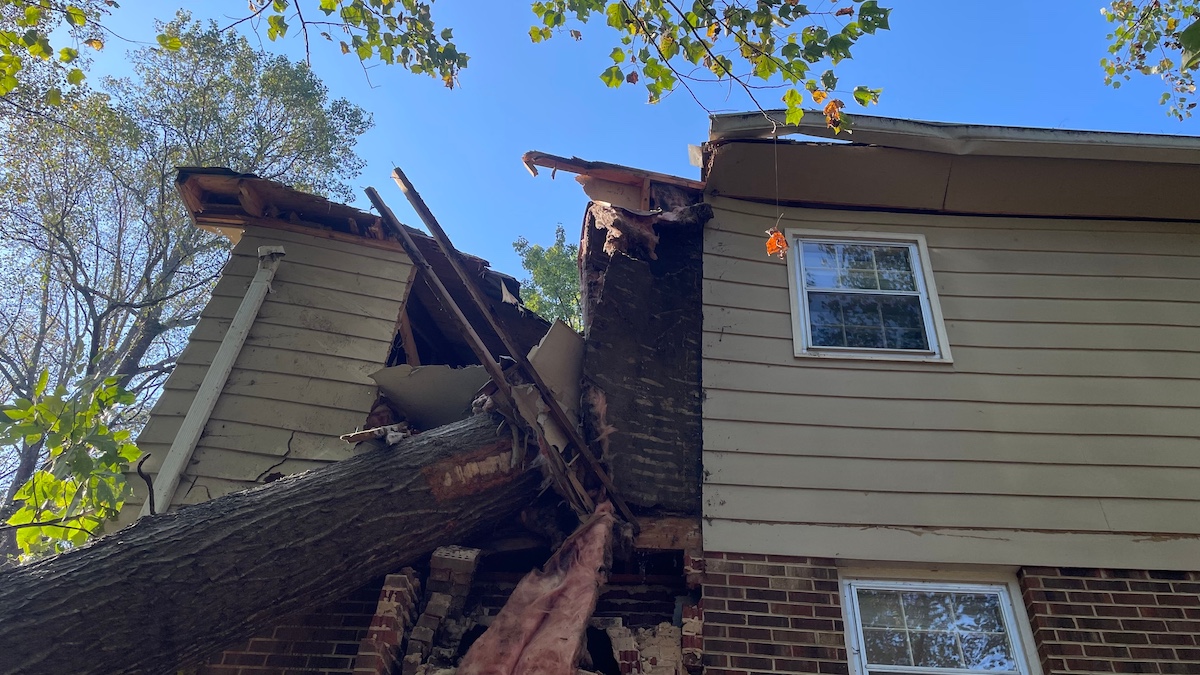 Tree Fall Damage to Home